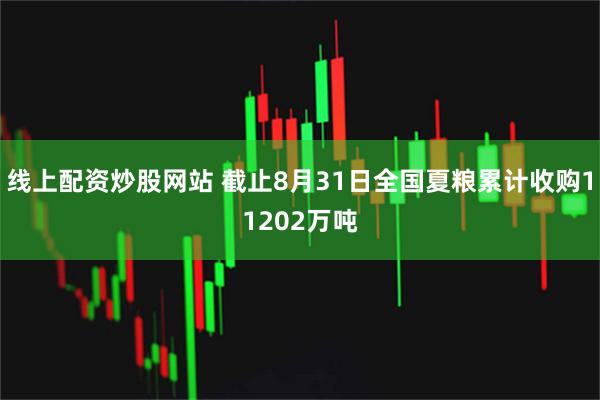线上配资炒股网站 截止8月31日全国夏粮累计收购11202万吨