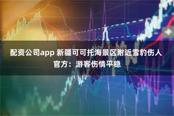 配资公司app 新疆可可托海景区附近雪豹伤人 官方：游客伤情平稳